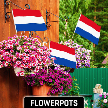 G128 50 Pack Handheld Netherlands Dutch Stick Flags 12X18 in Printed 150D Polyester, Country Flag, Solid Wooden Stick, Spear Gold Tip