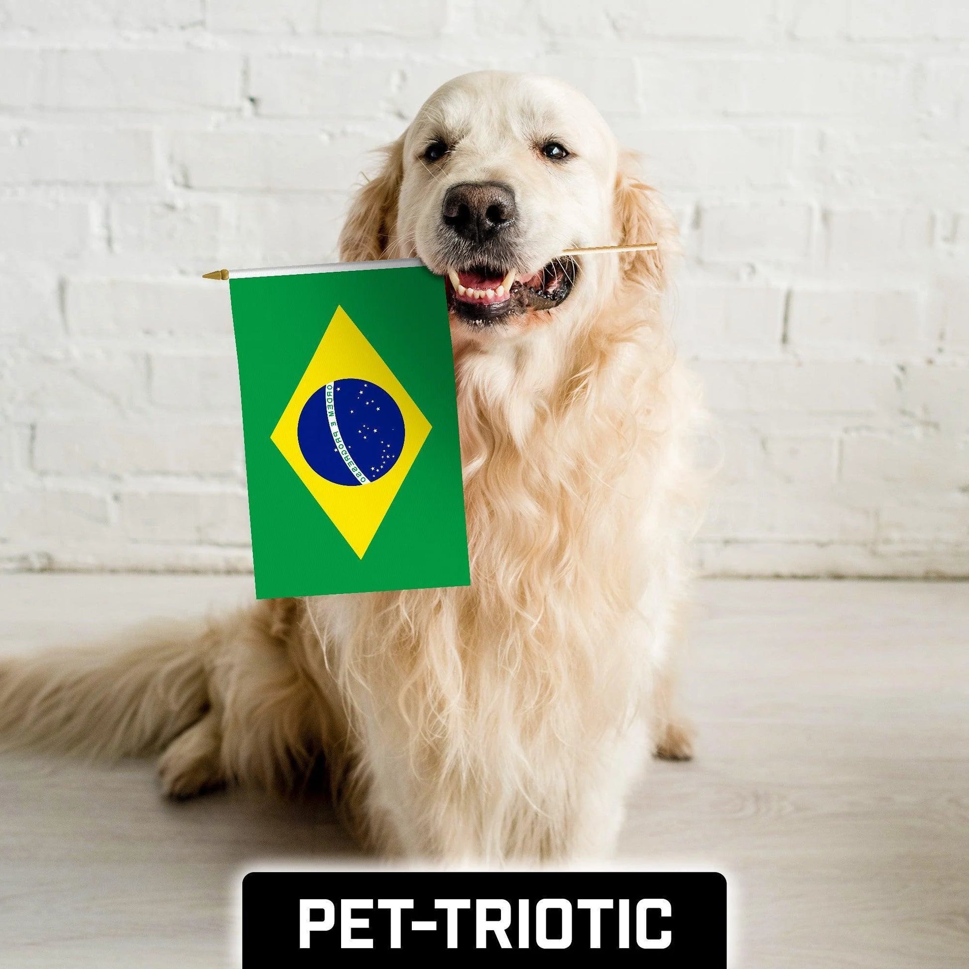 G128 24 Pack Handheld Brazil Brazilian Stick Flags 12X18 in Printed 150D Polyester, Country Flag, Solid Wooden Stick, Spear Gold Tip