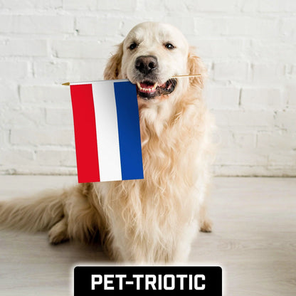 G128 50 Pack Handheld Netherlands Dutch Stick Flags 12X18 in Printed 150D Polyester, Country Flag, Solid Wooden Stick, Spear Gold Tip