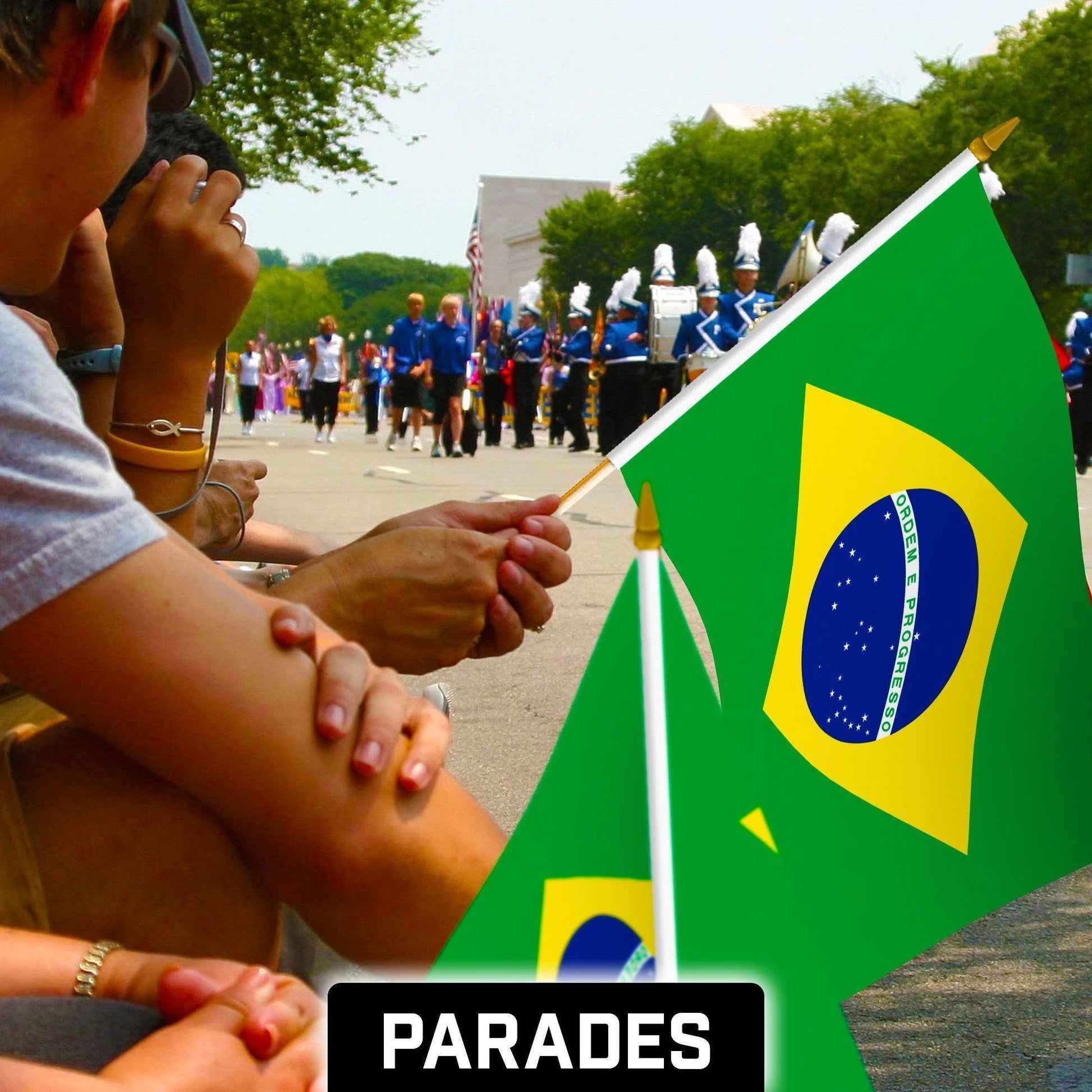 G128 24 Pack Handheld Brazil Brazilian Stick Flags 12X18 in Printed 150D Polyester, Country Flag, Solid Wooden Stick, Spear Gold Tip