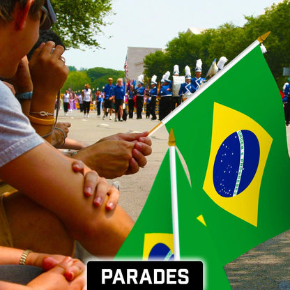G128 24 Pack Handheld Brazil Brazilian Stick Flags 12X18 in Printed 150D Polyester, Country Flag, Solid Wooden Stick, Spear Gold Tip
