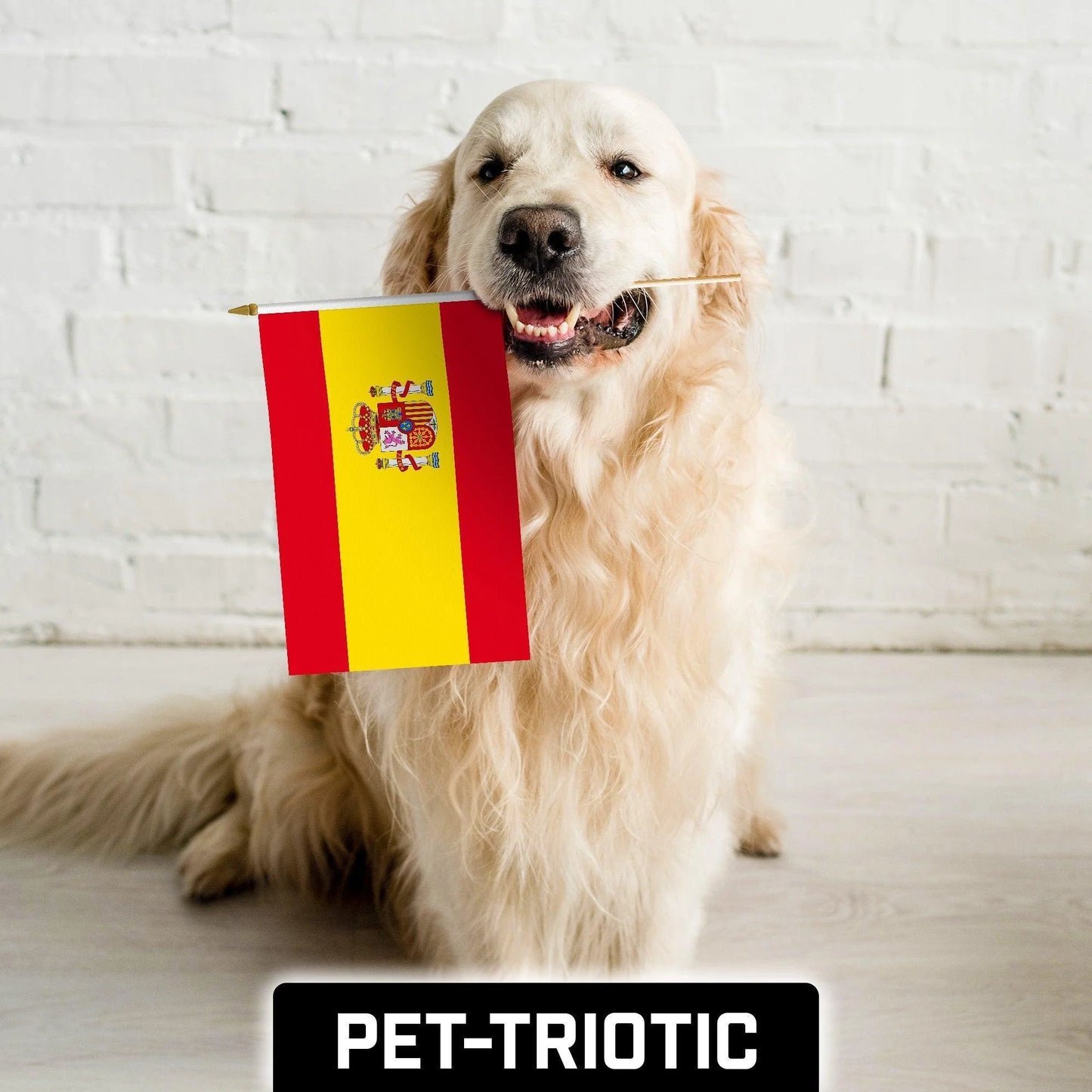 G128 30 Pack Handheld Spain Spanish Stick Flags 12X18 in Printed 150D Polyester, Country Flag, Solid Wooden Stick, Spear Gold Tip