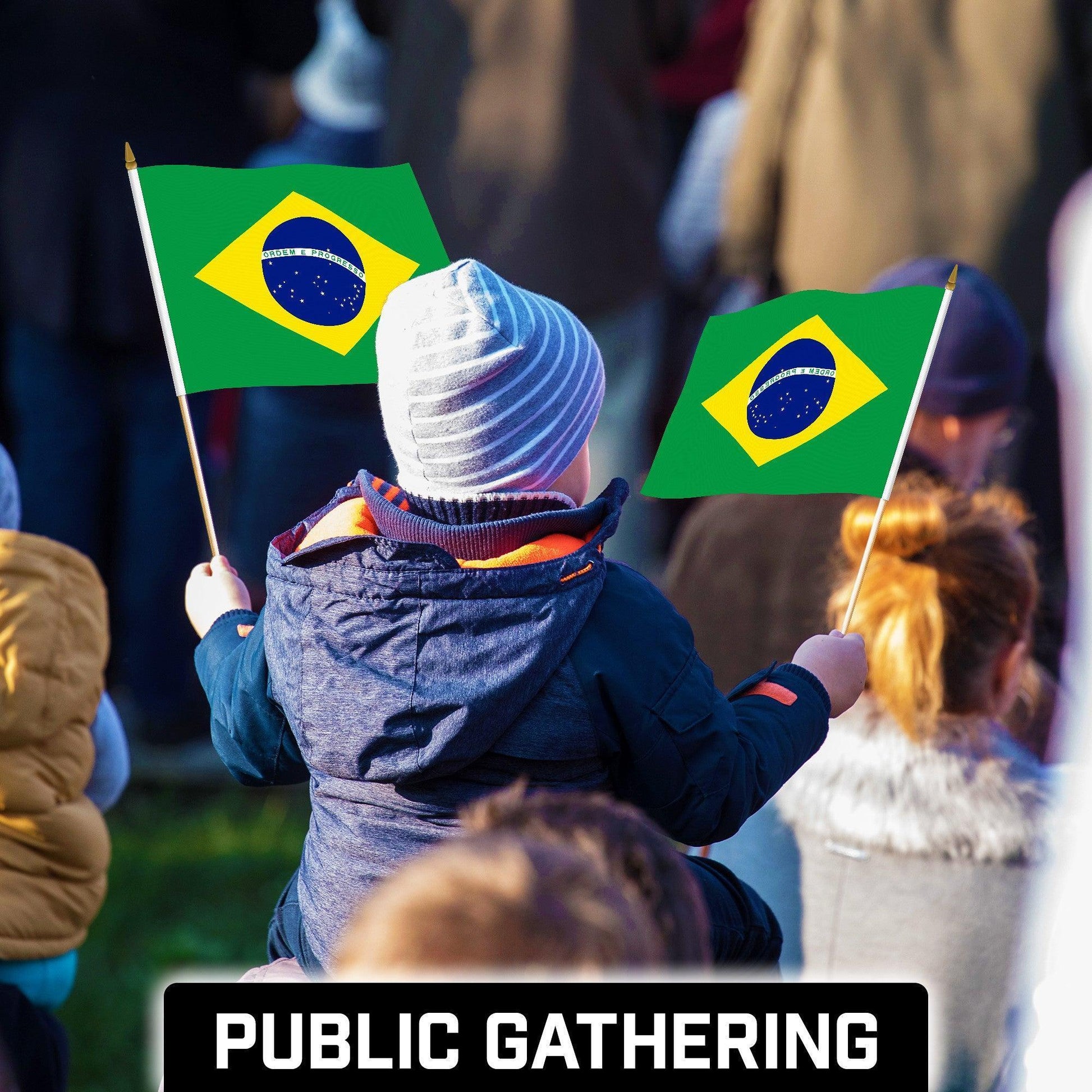 G128 24 Pack Handheld Brazil Brazilian Stick Flags 12X18 in Printed 150D Polyester, Country Flag, Solid Wooden Stick, Spear Gold Tip