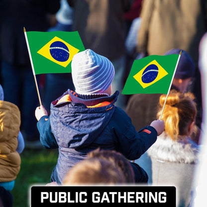 G128 24 Pack Handheld Brazil Brazilian Stick Flags 12X18 in Printed 150D Polyester, Country Flag, Solid Wooden Stick, Spear Gold Tip